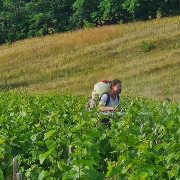 Domaine Aurélie Crozet - Aurélie Crozet