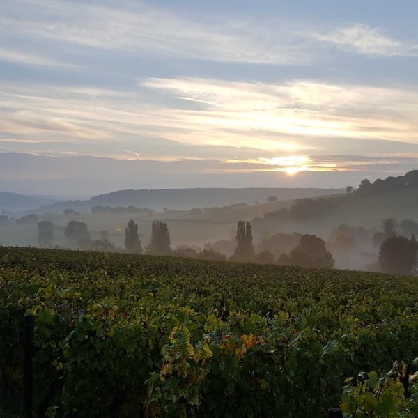 Domaine Aurélien Febvre - Aurélien Febvre