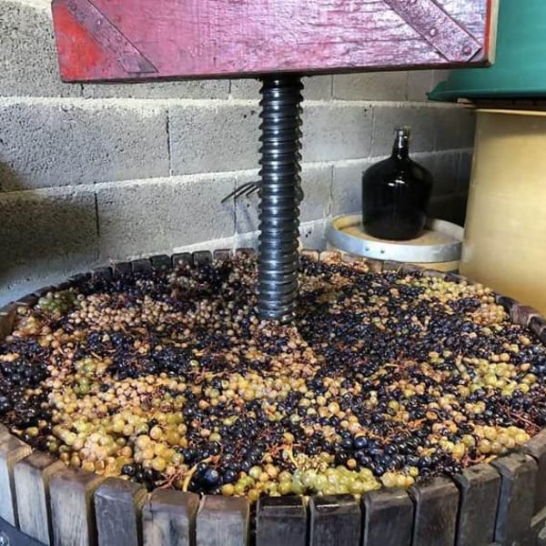 Aurélien Lefort - Aurélien Lefort