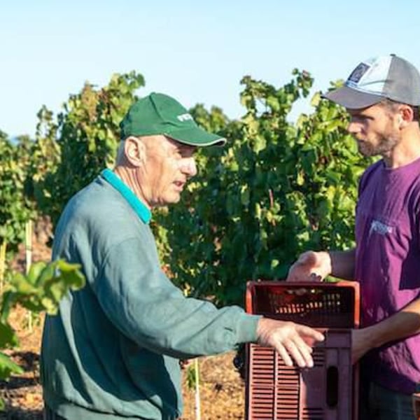 Domaine des Amiel - Aymeric & Jordan Amiel