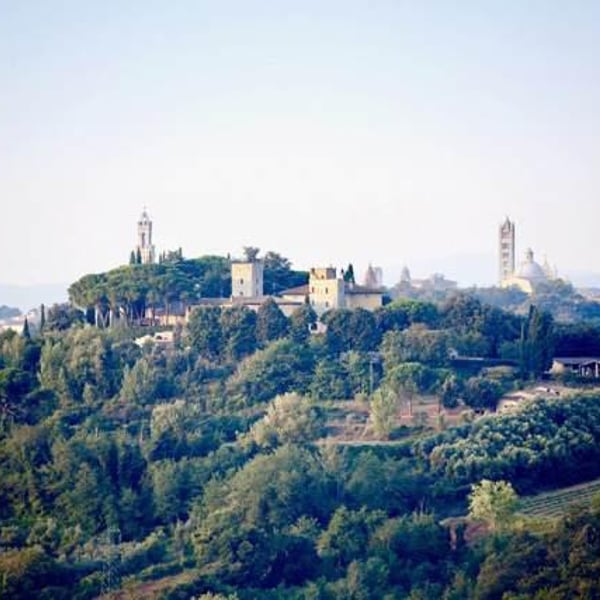 Az. Agricola Torre alle Tolfe