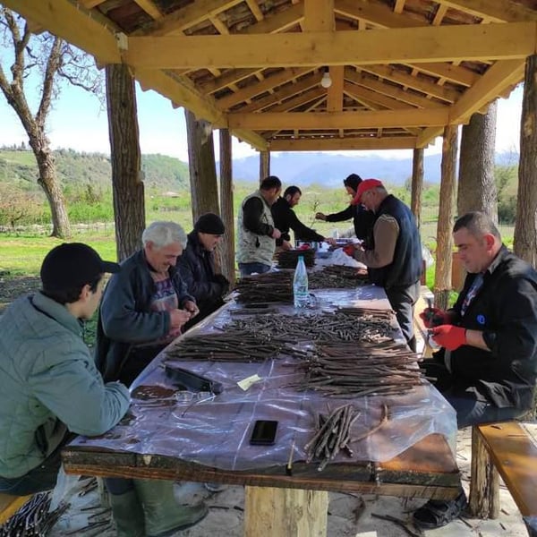 Martvilis Marani - Zaza Gagua