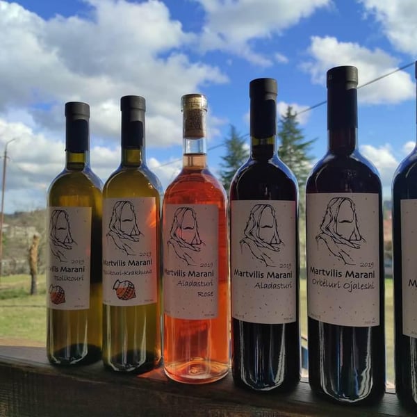 Martvilis Marani - Zaza Gagua