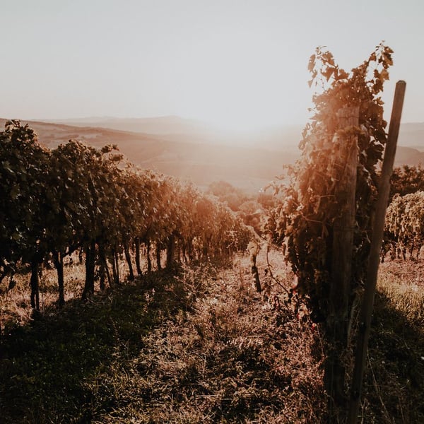 Ugo Fabbri & Sebastian Nasello