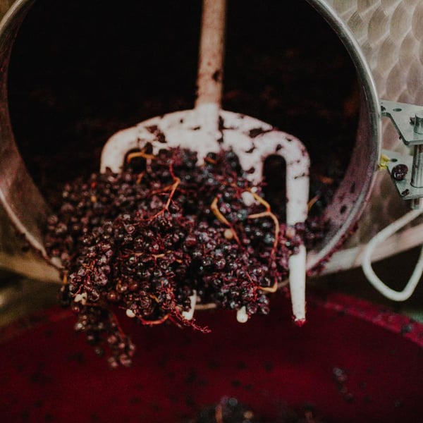 Ugo Fabbri & Sebastian Nasello