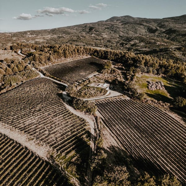 Ugo Fabbri & Sebastian Nasello