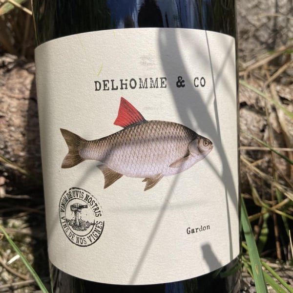 Delhomme & co - Baptiste Delhomme