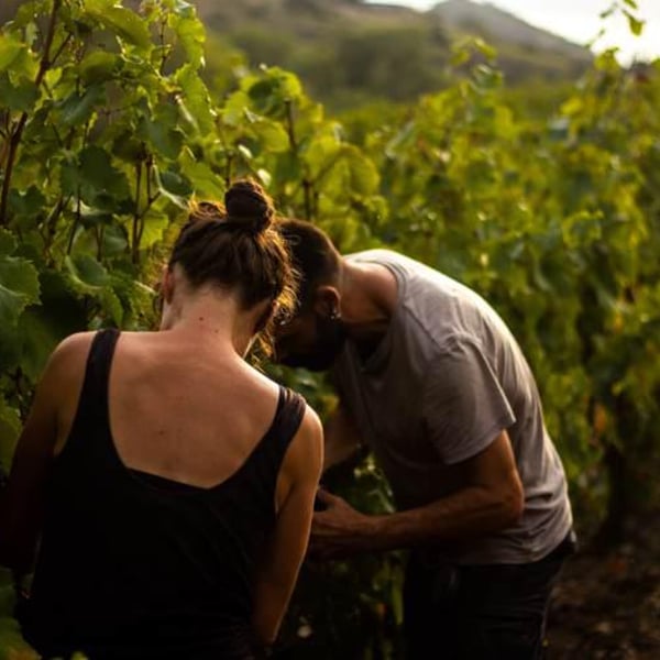 La Bancale - Bastien Baillet & Céline Schuers