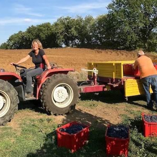 Azienda Agricola Corvagialla - Beatrice Arweiler