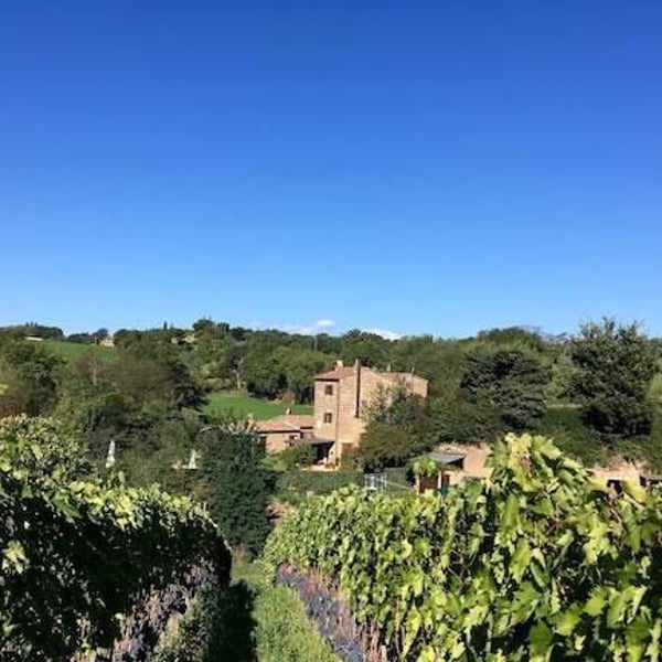 Azienda Agricola Corvagialla - Beatrice Arweiler