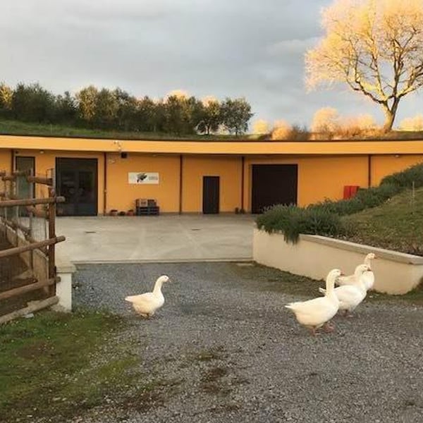 Azienda Agricola Corvagialla - Beatrice Arweiler