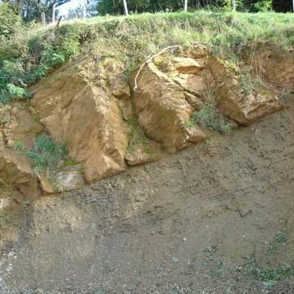 Bénédicte & Stéphane Tissot