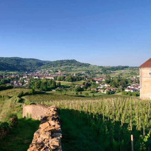 Bénédicte & Stéphane Tissot
