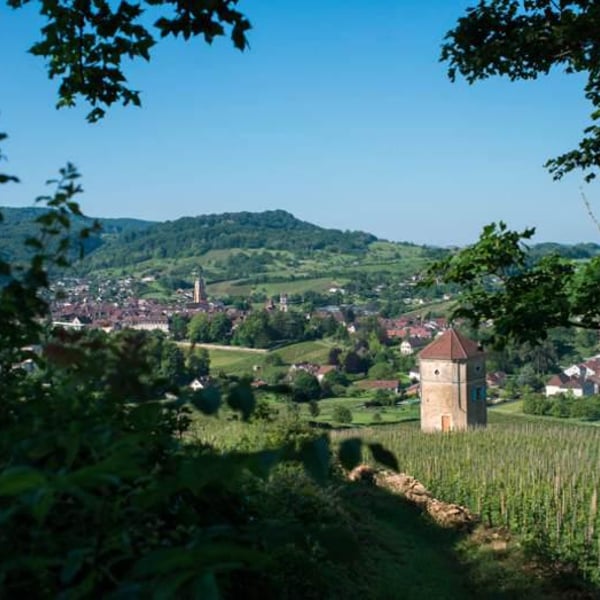 Bénédicte & Stéphane Tissot