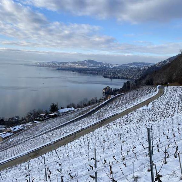 Domaine de La Riva - Benjamin Dupas