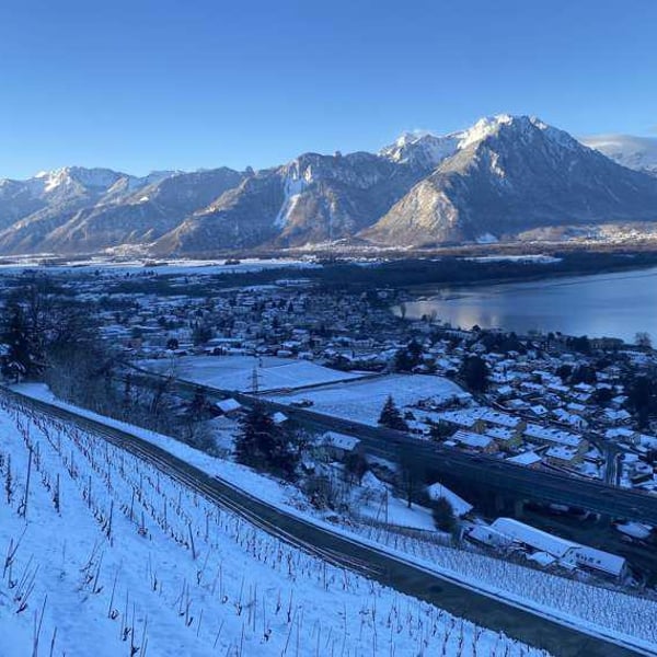 Domaine de La Riva - Benjamin Dupas