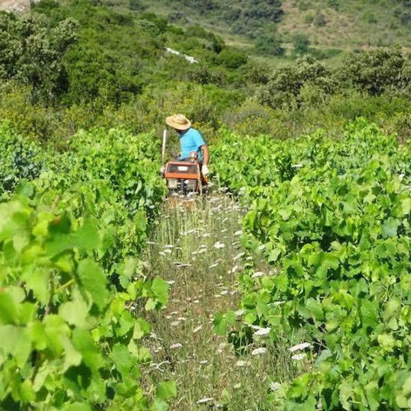Domaine les Gragnotes - Benoit Guillot & Erika Mazer