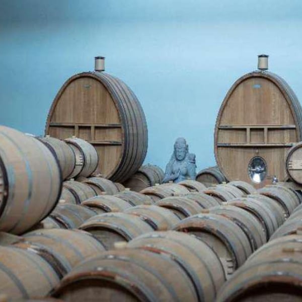 Champagne Marguet - Benoît Marguet