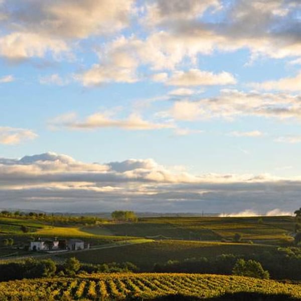 Domaine Plageoles - Bernard, Florent & Romain Plageoles