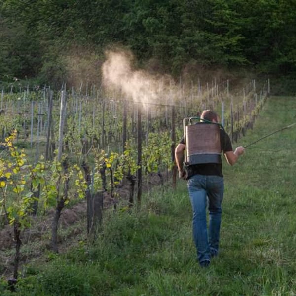 Domaine De L’envol - Bernard, Manuela, Daniel, Raphaël & Catherine Hirsinger