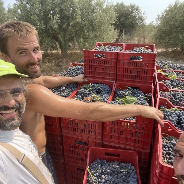 Biagio Distefano & Vittorio D'Angelo