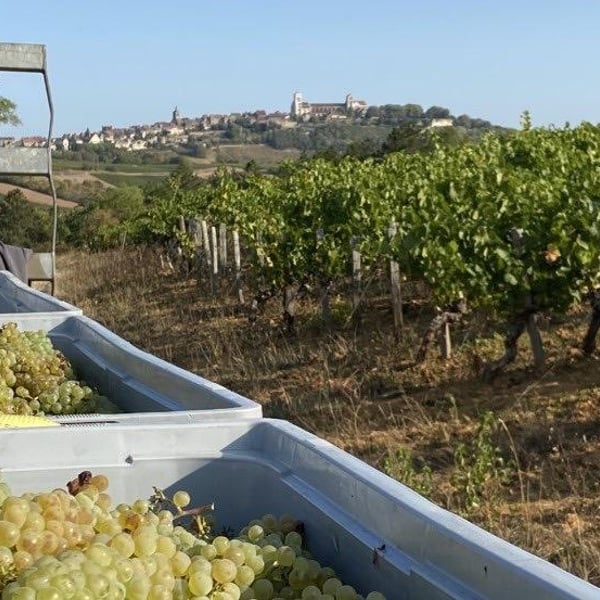 Domaine Sainte Madeleine - Blandine et Alexandre Le Corguillé