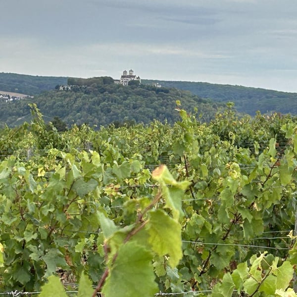 Domaine Sainte Madeleine - Blandine et Alexandre Le Corguillé
