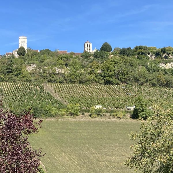 Domaine Sainte Madeleine - Blandine et Alexandre Le Corguillé