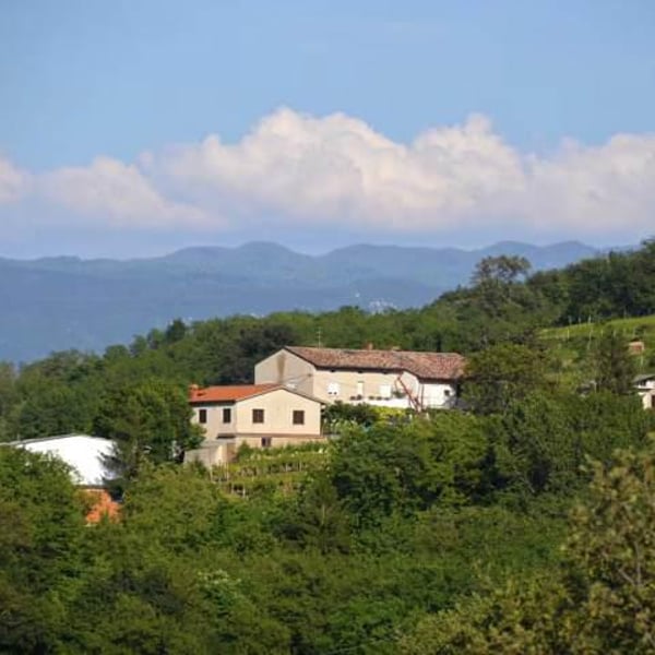 Mansus - Makovec - Bogdan Makovec