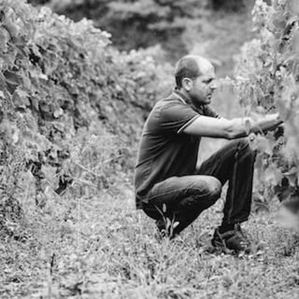 Domaine Des Ardoisières - Brice Omont