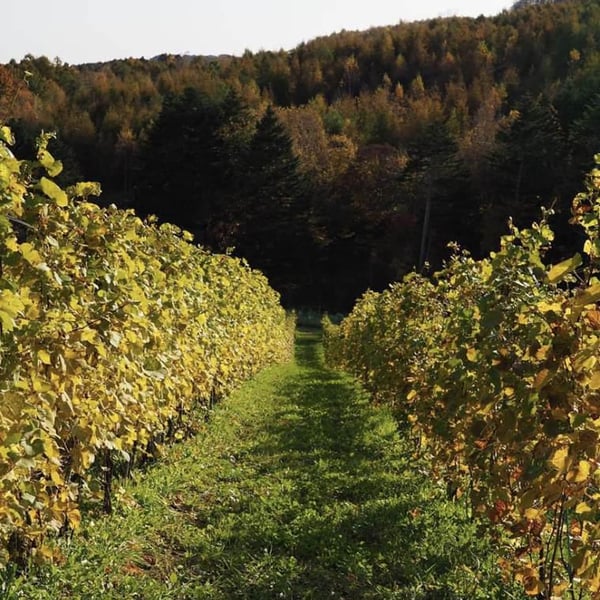 10R Winery - Bruce & Ryoko Gutlove