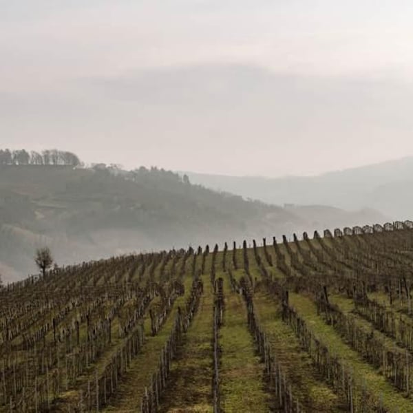 Azienda Agricola Carussin - Bruna Ferro