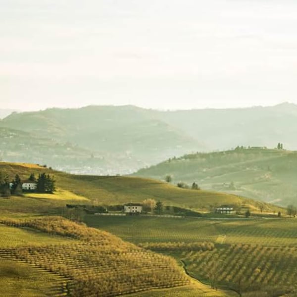 Azienda Agricola Carussin - Bruna Ferro
