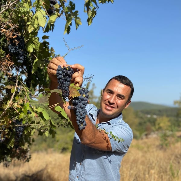 Neferiye Wines - Caglar Bozcaga