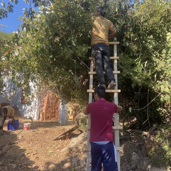 Neferiye Wines - Caglar Bozcaga