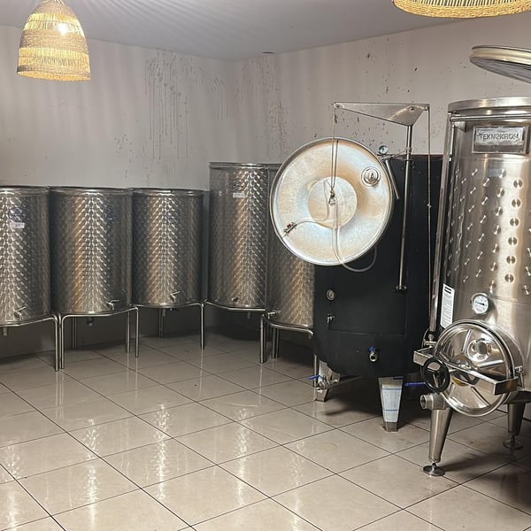 Neferiye Wines - Caglar Bozcaga