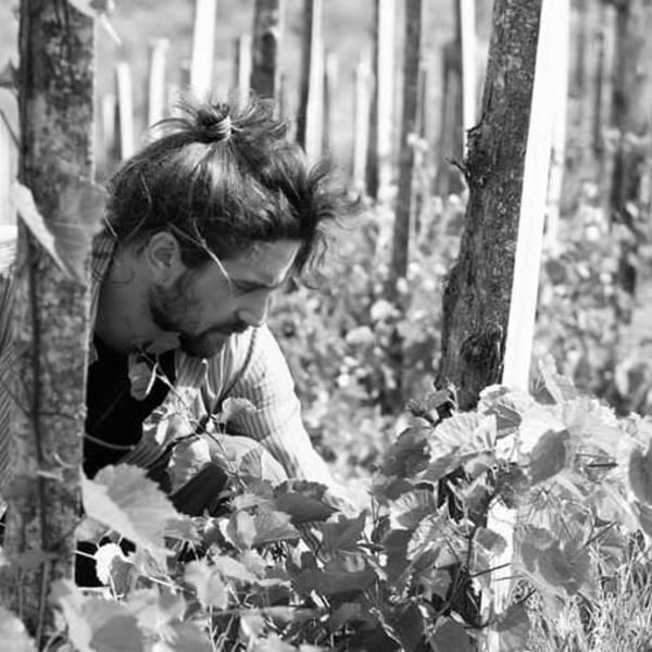 Azienda Agricola Calogero Caruana - Calogero Caruana
