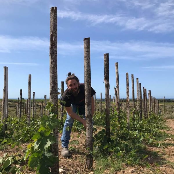 Azienda Agricola Calogero Caruana - Calogero Caruana