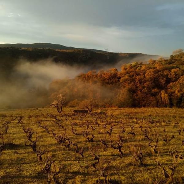 Domaine Du Sablier - Camille Mege