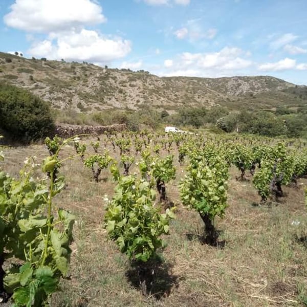 Domaine Du Sablier - Camille Mege