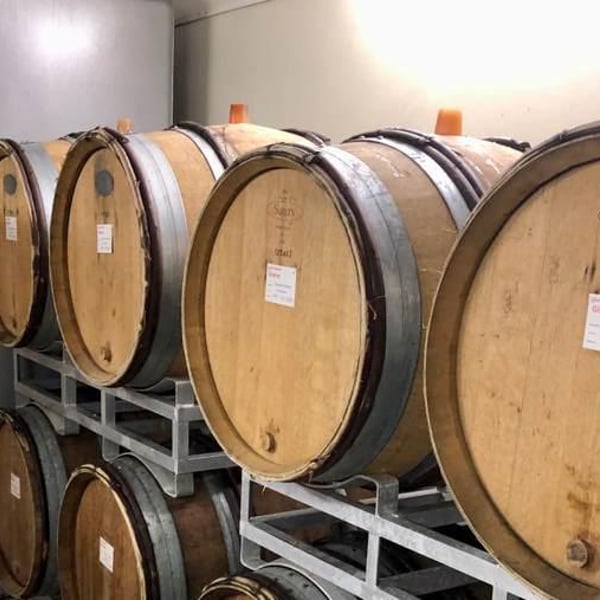 Vin des Coteaux de Giverny - Camille Ravinet