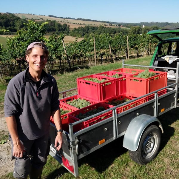 Weingut Carl-Friedrich L. Walther - Carl-Friedrich L. Walther