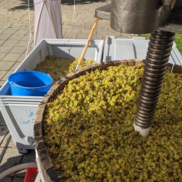 Weingut Carl-Friedrich L. Walther - Carl-Friedrich L. Walther