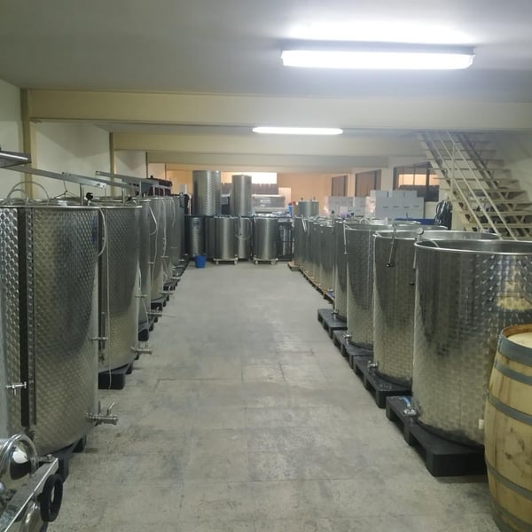 Selva Vins - Carlos Rodriguez Furthmann