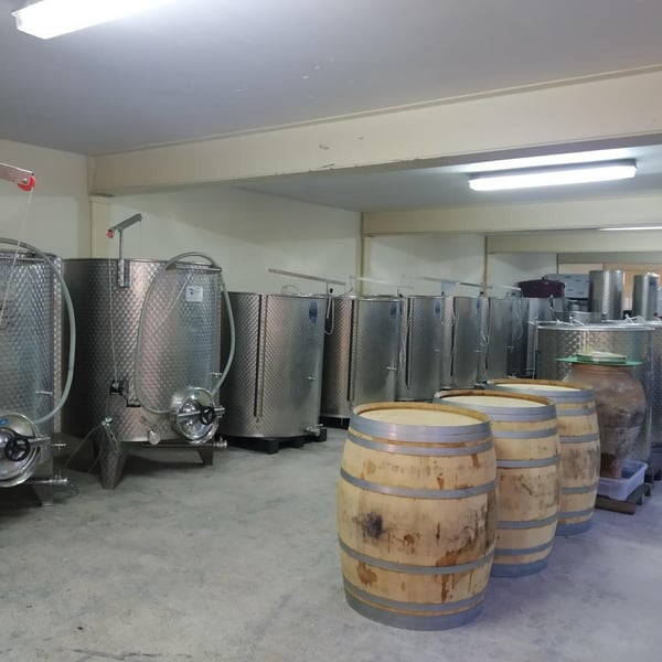 Selva Vins - Carlos Rodriguez Furthmann