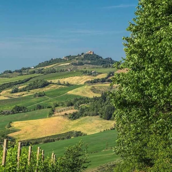 ClosForano - Azienda Agricola S. Francesco S.S. Di Bocchini U. & C. - Carlotta & Christophe Fustinoni