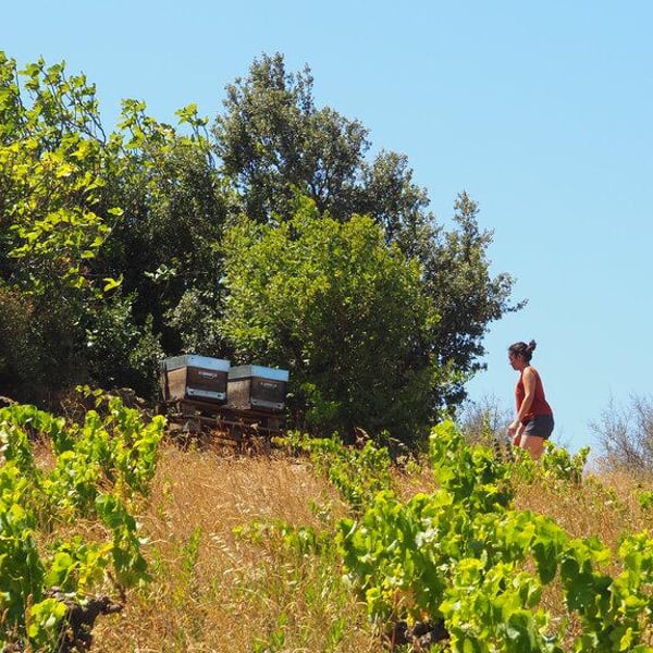 ETXE - Vignerons & Brasseurs - Carmen Etcheverry et Martin Ballot
