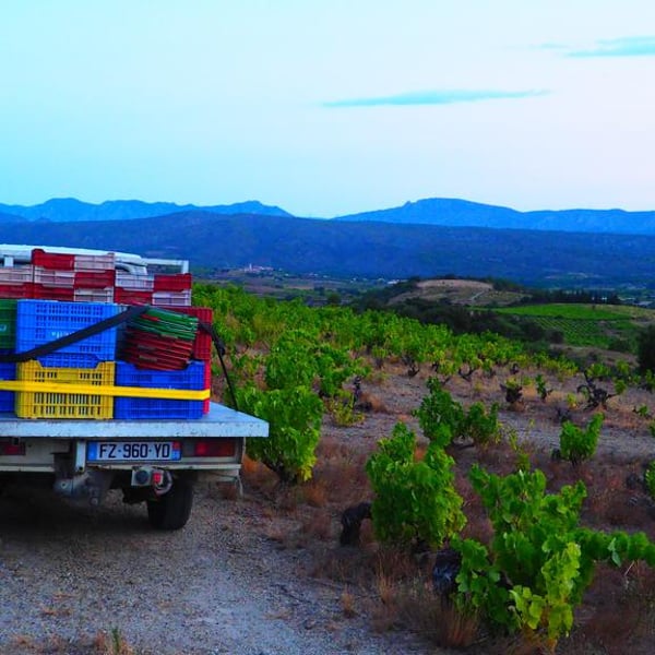 ETXE - Vignerons & Brasseurs - Carmen Etcheverry et Martin Ballot