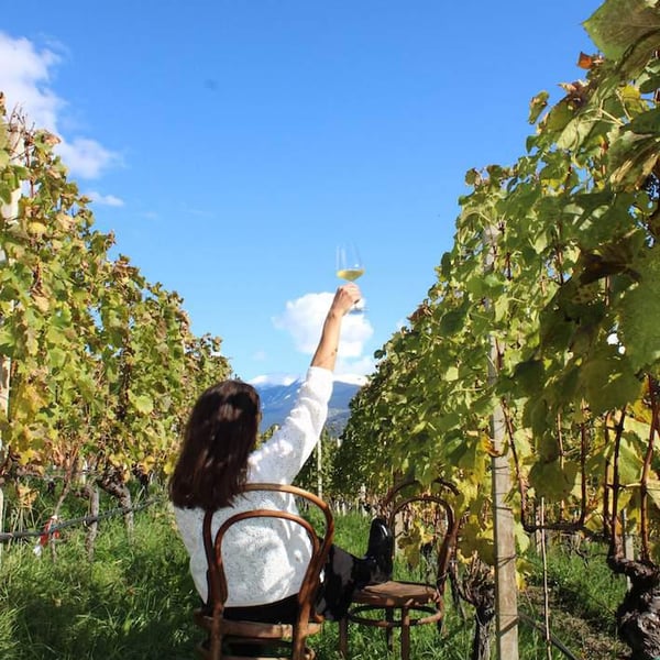 WINERY RÖCK - Carmen, Frieda, Hannes & Konrad RÖCK