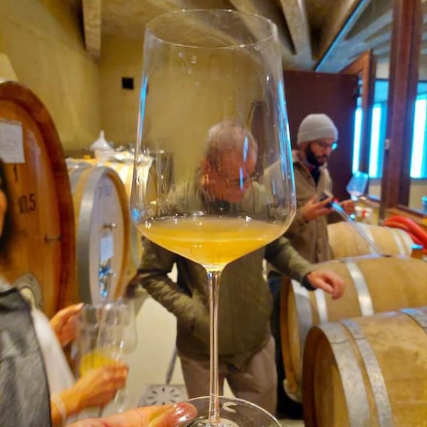 WINERY RÖCK - Carmen, Frieda, Hannes & Konrad RÖCK
